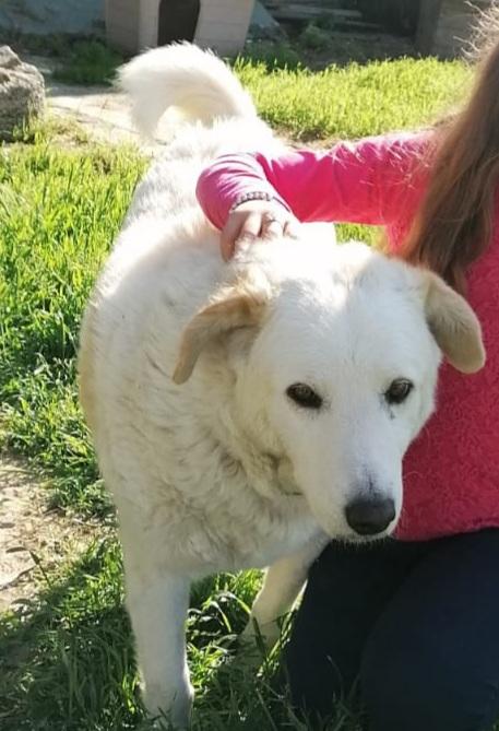 Cotone, Morbidone Compatibile Con I Bambini